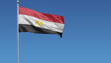 Egypt: Eight Detained Over Alleged Anti-Government Plot
