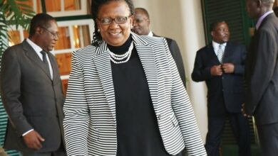 Zimbabwean Court Charges Tourism Minister With Corruption Worth $95 Million