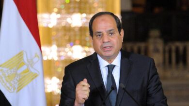 Egyptian President El-Sissi Criticizes European Countries' Handling Of Migrants