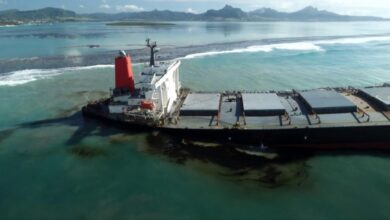 Mauritius’ Prime Minister Says Almost All Oil Removed From Damaged Japanese Ship