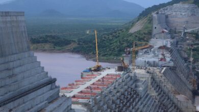 Sudanese Minister Says No Impact Of Ethiopian Dam On Floods This Year