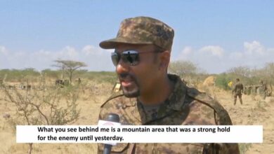 Ethiopian Prime Minister Abiy Ahmed Appeals Tigryan Rebel Groups To Surrender