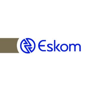 SA President Says Eskom Too Vital To Be Allowed To Fail
