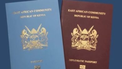 Henley Passport Index 2019: Kenya's Passport Ranked 8th Most Powerful In Africa
