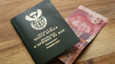 South Africa New E-Visas Ready To Be Trialled In New Zealand