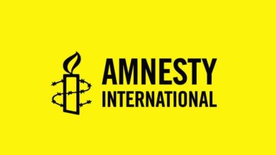 Amnesty International Suspends Zimbabwean Office Operations