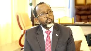 Somalia: Information Minister Resigns Over Differences With Federal Government