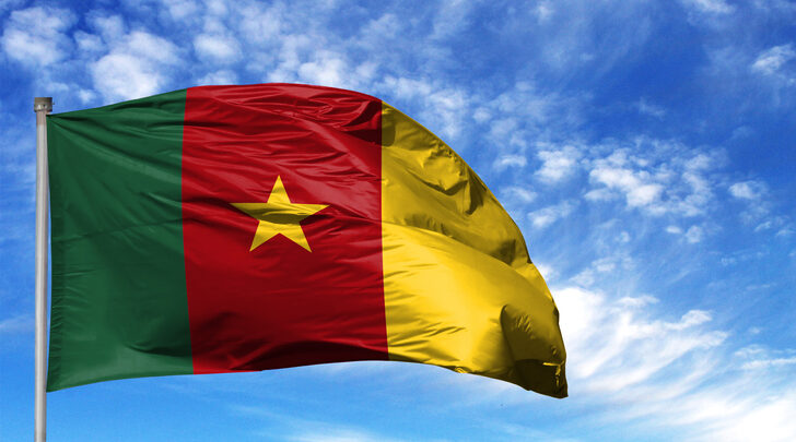 Cameroon Government Not Ready To Postpone February 2020 General Elections