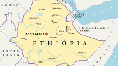 Ethiopian Government Calls For Diplomatic Discussion With Sudan To Stop Border Violence