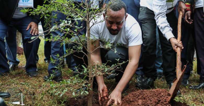 Ethiopia Sets New Record Of Planting More Than 350 Million Trees In A Day