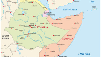 Kenyan MPs Want Govt To Settle Somalia Dispute Outside The Court