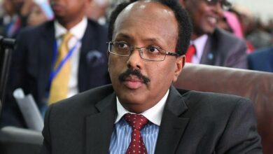 Somali Confirms President Farmajo's Meeting With Somaliland Leader Musa Bihi Abdi