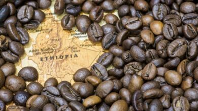 Ethiopia To Build A $50 Mn Coffee Park In Addis Ababa To Promote Local Coffee