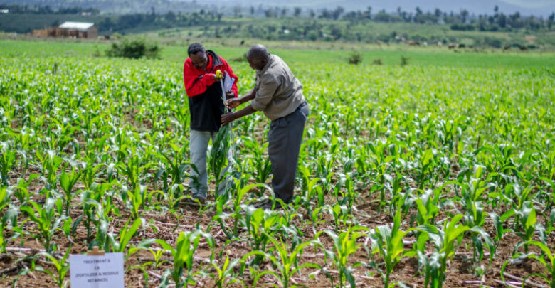 Kenya To Launch Climate Atlas To Gauge Climate Change Impact On Crop Production