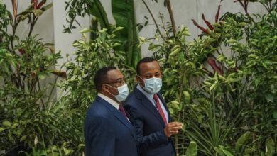Ethiopian Prime Minister Launches Campaign To Plant 6 Billion Trees This Year