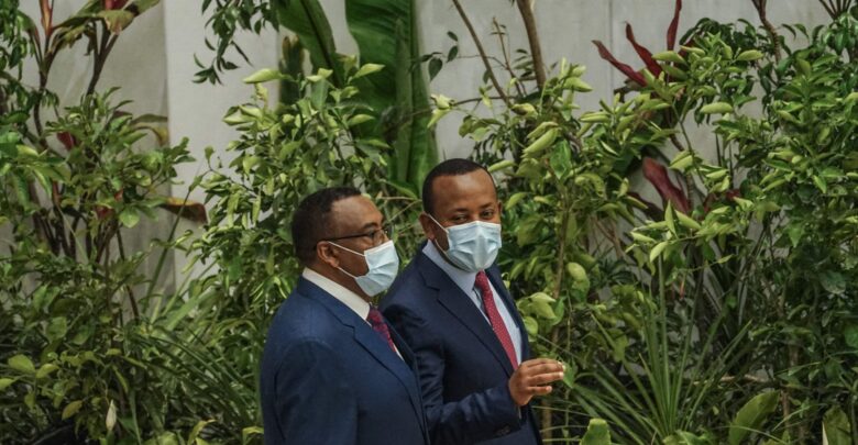 Ethiopian Prime Minister Launches Campaign To Plant 6 Billion Trees This Year