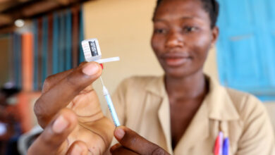 Nigeria's Food & Drug Regulator Grants Provisional Approval To Malaria Vaccine